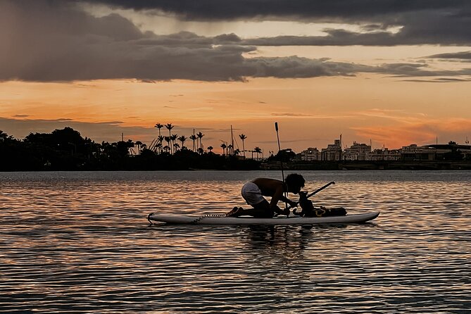 1-Hour Condado Lagoon Paddleboard Rental in San Juan - Paddling independently around the lagoon