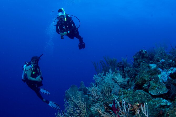 2-Tank Scuba Boat Trip in World-Class Sites @ Copamarina - Two Puerto Rico sites with very different personalities