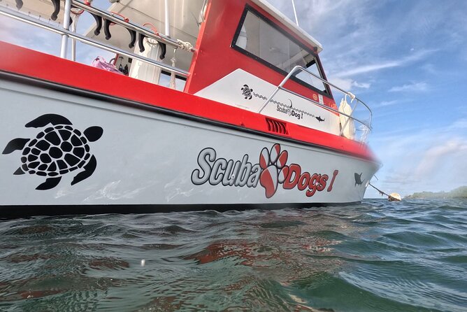 2-Tank Scuba Boat Trip in World-Class Sites @ Copamarina - Is $235 a fair price?