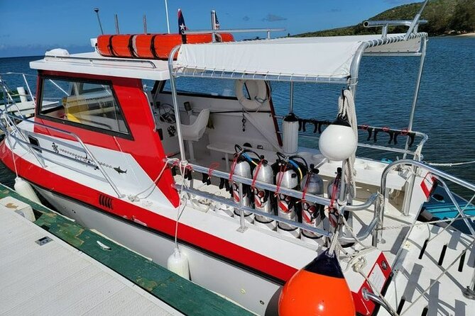 2-Tank Scuba Boat Trip in World-Class Sites @ Copamarina - Who will enjoy this trip most?