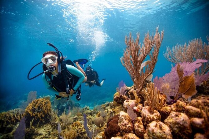 2-Tank Scuba Boat Trip in World-Class Sites @ Copamarina - Practical planning for your morning
