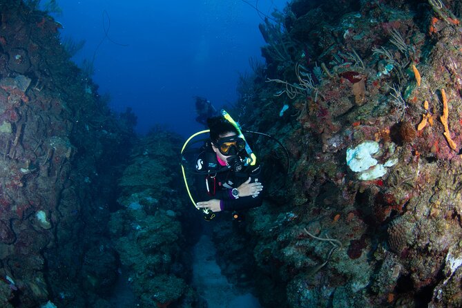 2-Tank Scuba Boat Trip in World-Class Sites @ Copamarina - What the five-hour boat outing includes