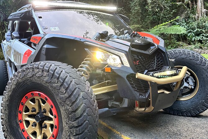 3-Hour Private UTV Tour in San Juan - Starting around San Juan and finding the rhythm