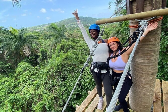 Adventure Trail Tour in the foothills of the National Rainforest - A short rainforest course with plenty of variety
