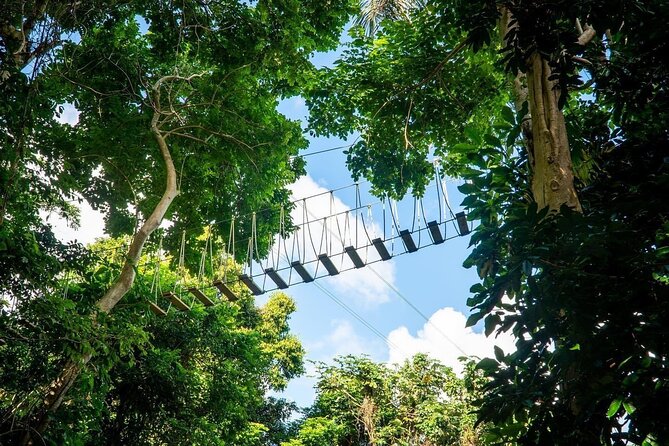 Adventure Trail Tour in the foothills of the National Rainforest - Rappelling and Surfing the Jungle