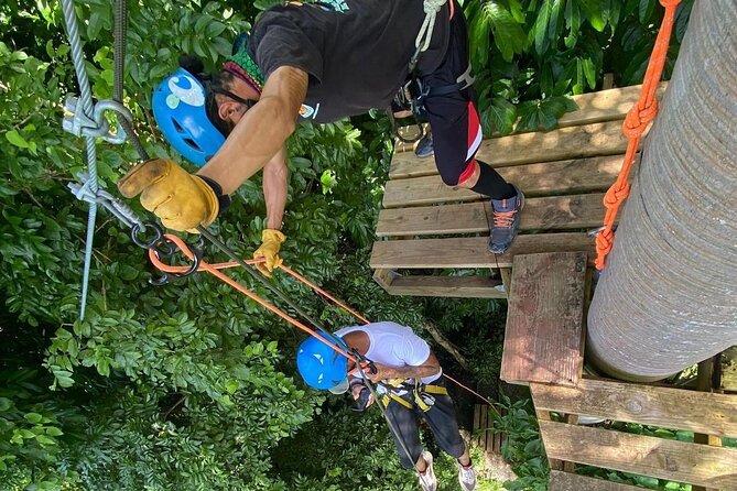 Adventure Trail Tour in the foothills of the National Rainforest - What the $110 price really covers