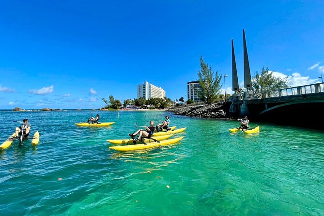 Adventure Water Bike in Condado Lagoon, San Juan - A closer look at the lagoon’s marine life