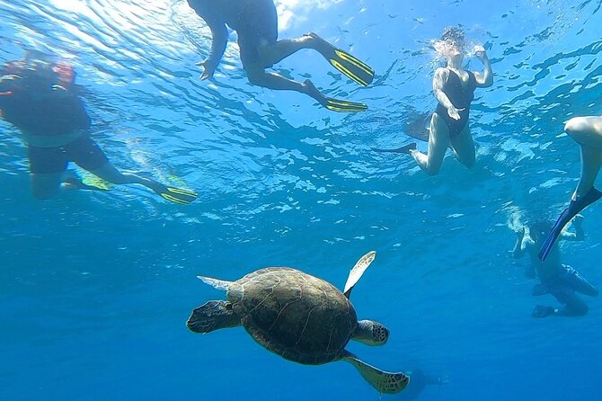 Aguadilla Tropical Snorkeling - Why this shore snorkel is worth considering