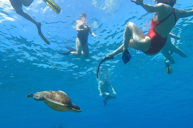 Aguadilla Tropical Snorkeling - Meeting the guides at Peña Blanca Beach