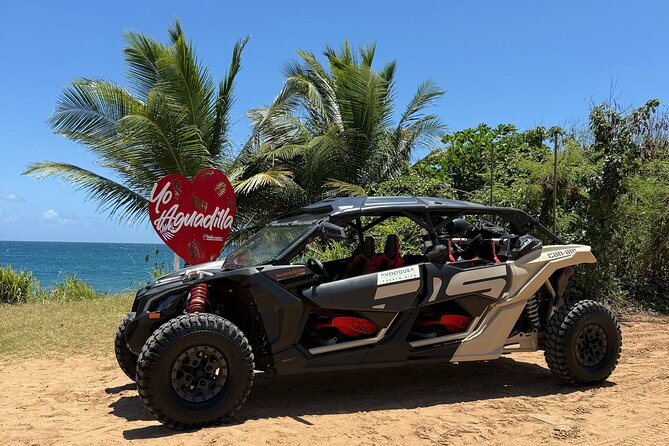 Aguadilla UTV Off-Road Tour to Faro Ruins! - Ruinas del Faro: rough trails and old lighthouse remains