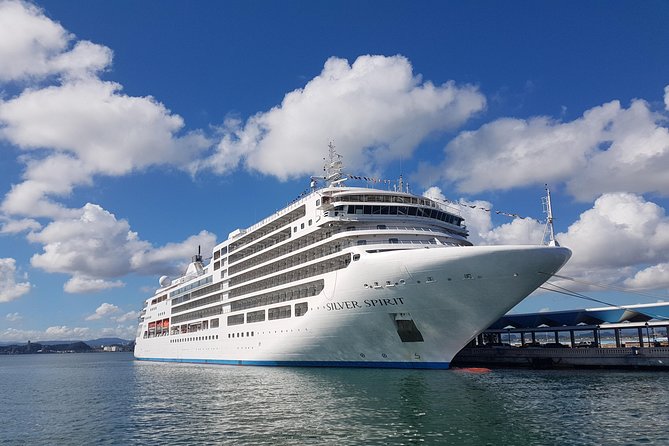Airport Transfer to Cruise Ships, Hotels, Airbnb in San Juan - Meeting your chauffeur at Luis Muñoz Marín International Airport