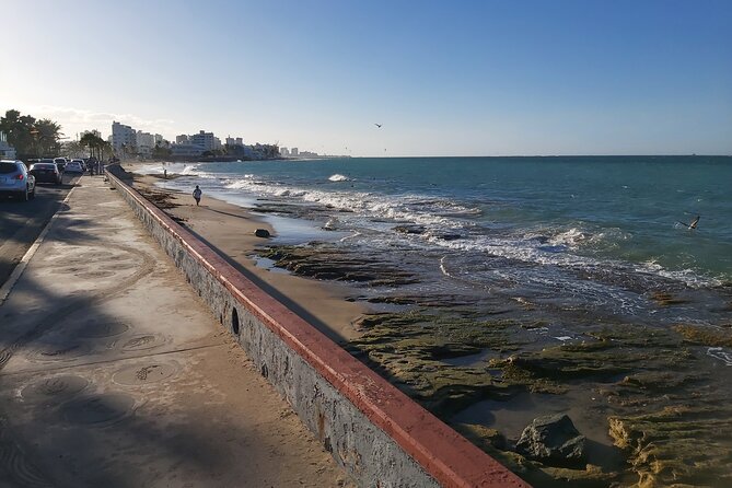 Airport Transfer to Cruise Ships, Hotels, Airbnb in San Juan - Luggage, children, pets, and practical limits