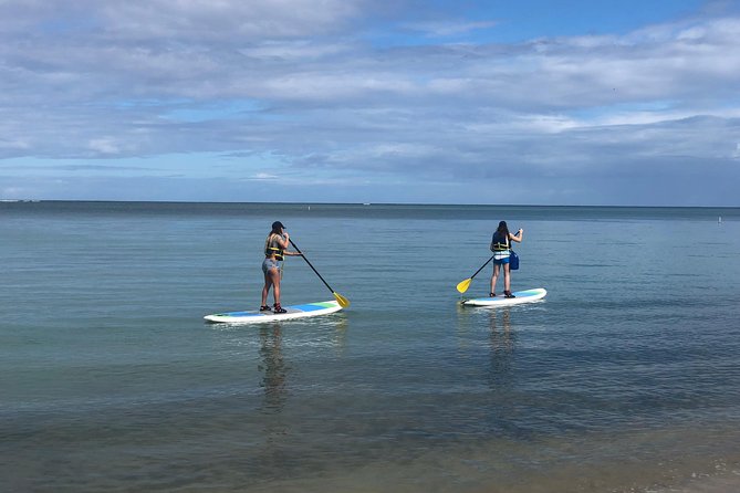 All-Day Paddleboard Rental – Fajardo, Puerto Rico - Key points at a glance