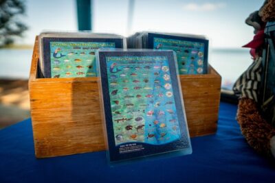 All-Day Paddleboard Rental – Fajardo, Puerto Rico