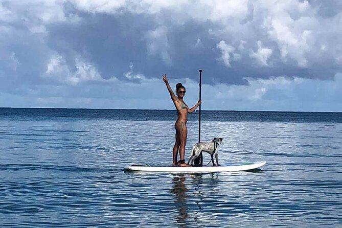 All-Day Paddleboard Rental – Fajardo, Puerto Rico - How much time should you allow?