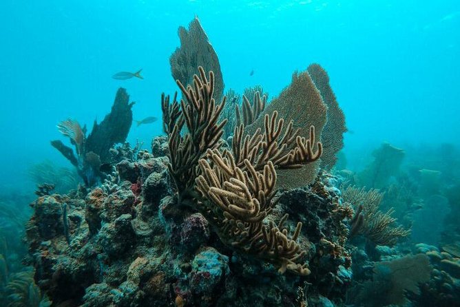 All Inclusive Beach and Snorkel Boat Tour to Icacos Island - Lunch, rum drinks, and the social side of the trip