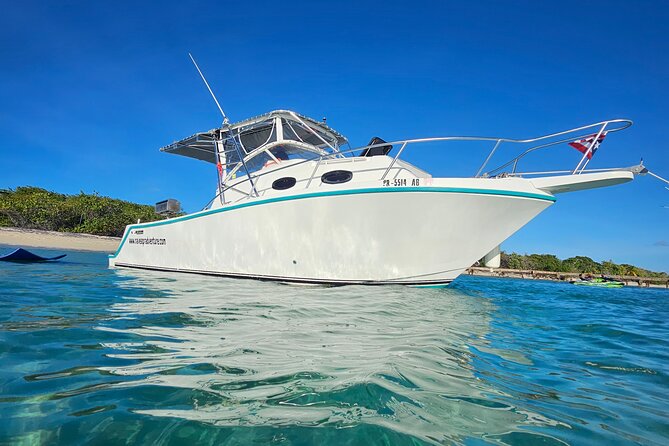 All-Inclusive: Mako 29ft Boat Tour to Icacos Palomino & Palominito - Leaving Fajardo with El Yunque in view