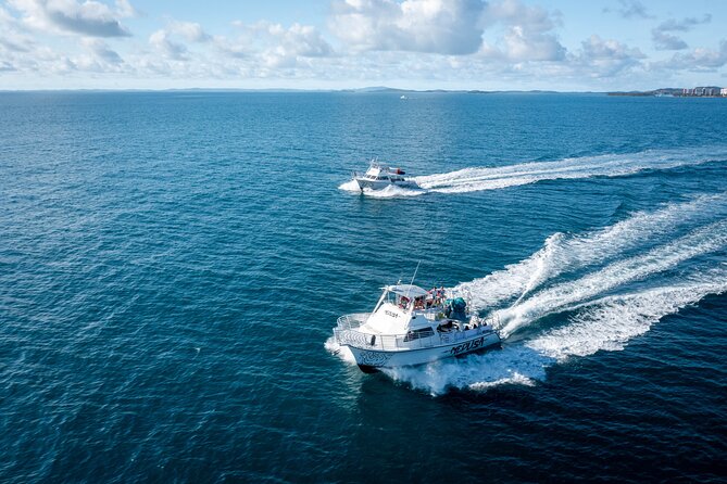 All Inclusive Snorkel and Slide Boat Tour: Icacos or Vieques - What snorkeling is really like