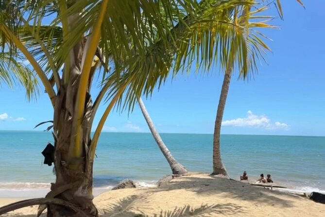 Añasco-Bunny Fever Adventure Experience - La Playa: the most outdoorsy hour