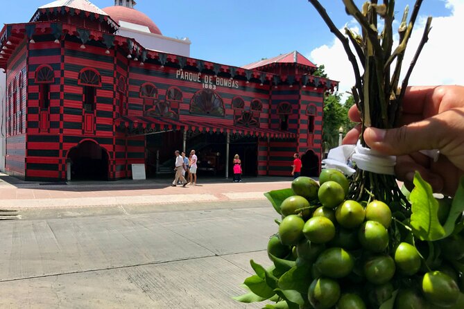 Around the Island Tour From San Juan - Key points to know before you go