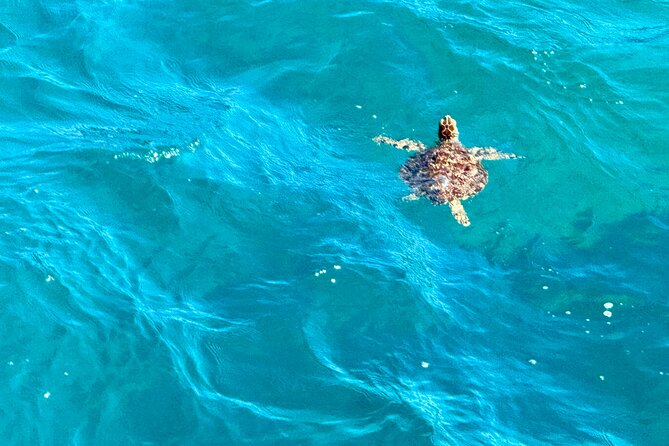 Around the Island Tour From San Juan - Rincón changes the mood