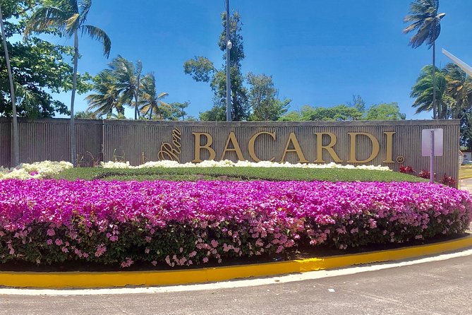 Bacardi Rum Distillery and Old San Juan Tour - What this four-hour outing actually does