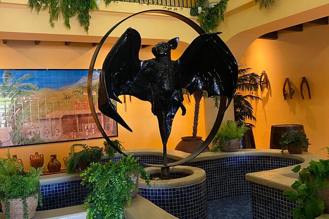 Bacardi Rum Distillery and Old San Juan Tour - Comfort, timing, and the heat factor