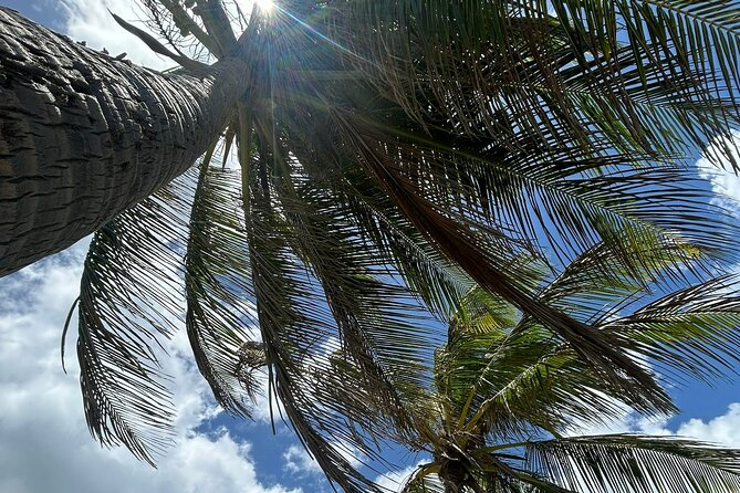 Beach Bliss Yoga in San Juan - Meditation, chanting, and the sound bath