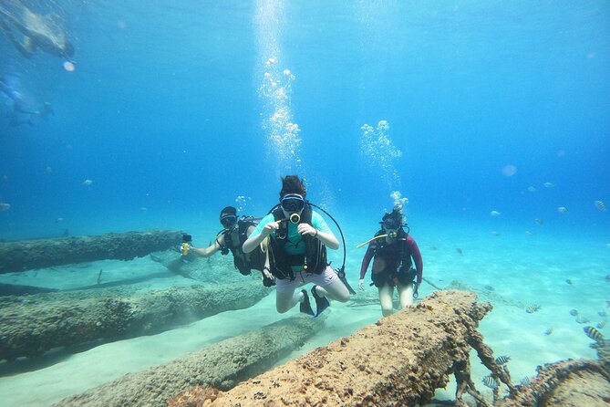 Beginner Scuba Diving Guided Tour - No Experience Required - Key points to know before you book