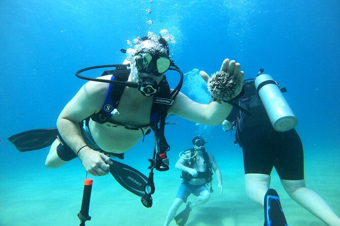 Beginner Scuba Diving Guided Tour - No Experience Required - Learning the equipment without feeling rushed
