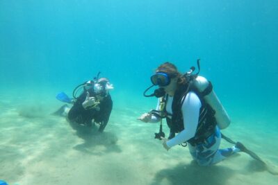 Beginner Scuba Diving Guided Tour – No Experience Required
