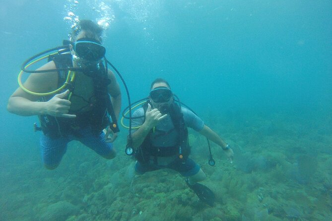 Beginner Scuba Diving Guided Tour - No Experience Required - Free underwater photos and video