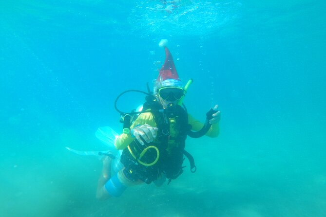 Beginner Scuba Diving Guided Tour - No Experience Required - Is $99 a fair price?