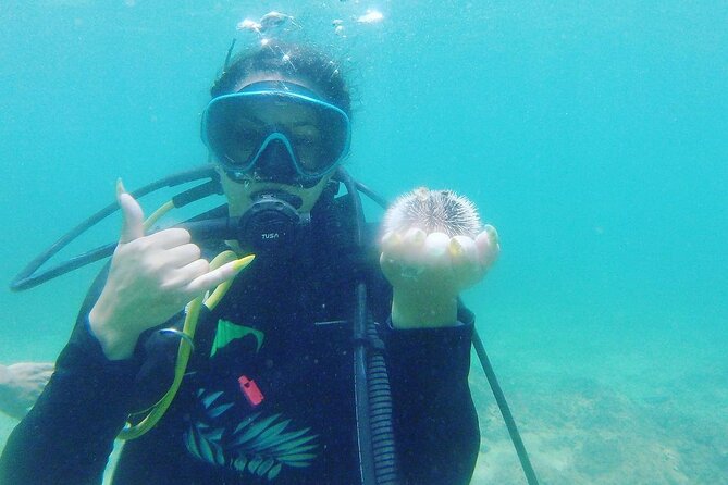 Beginner Scuba Diving Guided Tour - No Experience Required - Health rules and flight timing