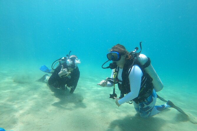 Beginner Scuba Diving Guided Tour - No Experience Required - Meeting Connor or Luke at 564 Black Eagle Road