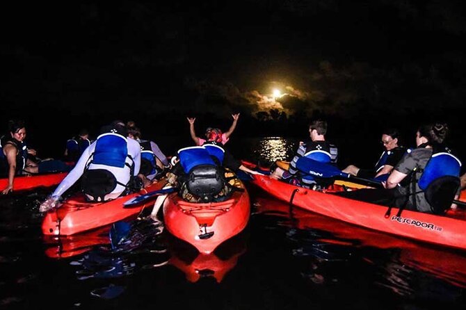 Bio Bay Kayak Tour in Fajardo - Key points to know before you book