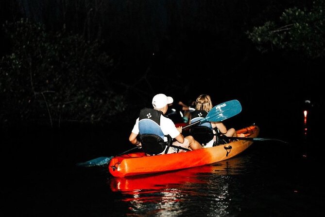 Bio Bay Kayak Tour in Fajardo - Guides, stories, and the value of interpretation