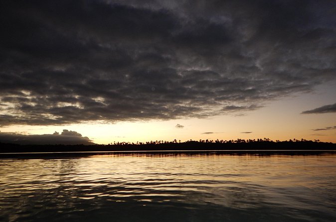 Bio Bay Kayak Tour in Fajardo - How hard is the paddle?