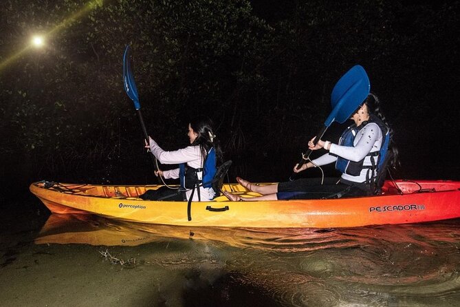 Bio Bay Kayak Tour in Fajardo - Is $89 a fair price?