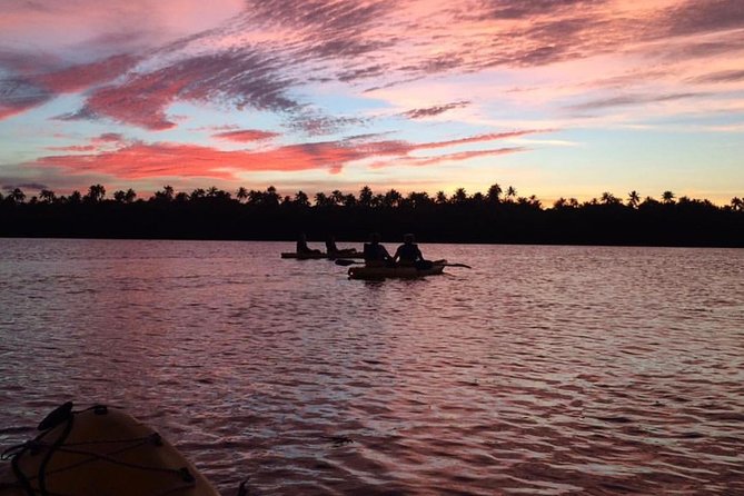 Bio Bay Kayak Tour in Fajardo - Reaching Laguna Grande after dark