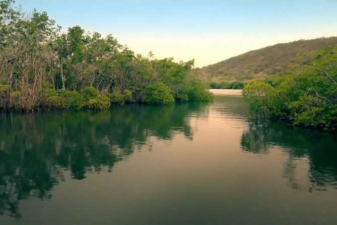 Bio Bay Magic and Rum Tasting Tour from San Juan - Why the long ride from San Juan can be worth it