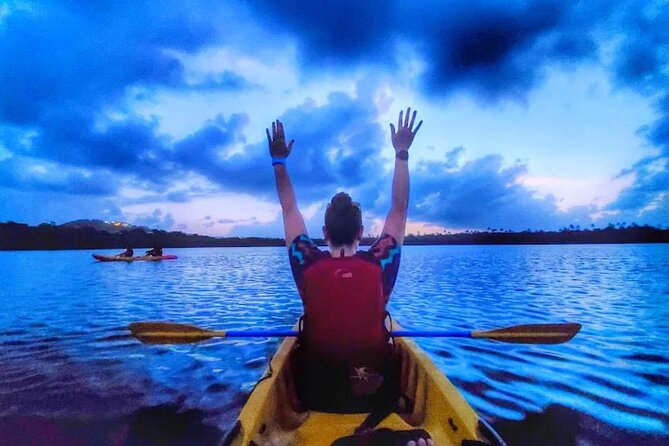 Bio Bay Night Kayak Tour in Fajardo - The Glow at Laguna Grande Is the Main Event