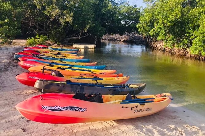 Bio Bay Night Kayak Tour in Fajardo - Starting at Kayak Village in Fajardo