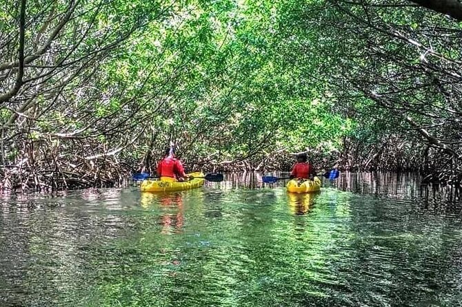 Bio Bay Night Kayak Tour in Fajardo - The Physical Side of Two Hours on the Water