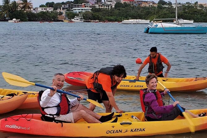 Bio Bay Night Kayak Tour in Fajardo - Group Size, Crowding, and Organization