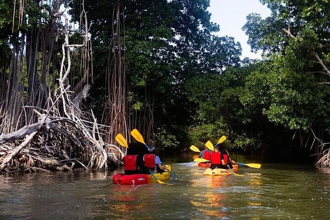 Bio Bay Night Kayak Tour in Fajardo - Who Should Book This Fajardo Night Paddle?