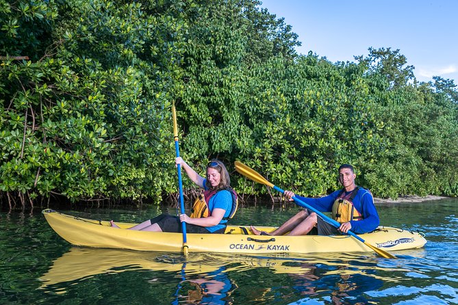 Bio Bay Night Kayak Tour with Transport from San Juan - The drive from San Juan to Fajardo