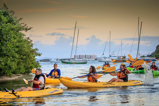 Bio Bay Night Kayaking | Laguna Grande, Fajardo - Key points to know before you book