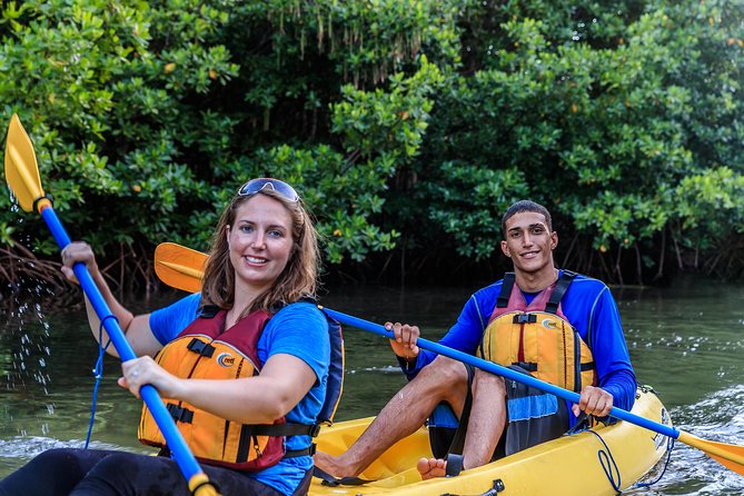 Bio Bay Night Kayaking | Laguna Grande, Fajardo - Why the kayaking itself matters