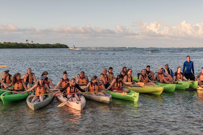Bio Bay Night Kayaking with Transport from San Juan Area - Mosquitoes, darkness, and comfort